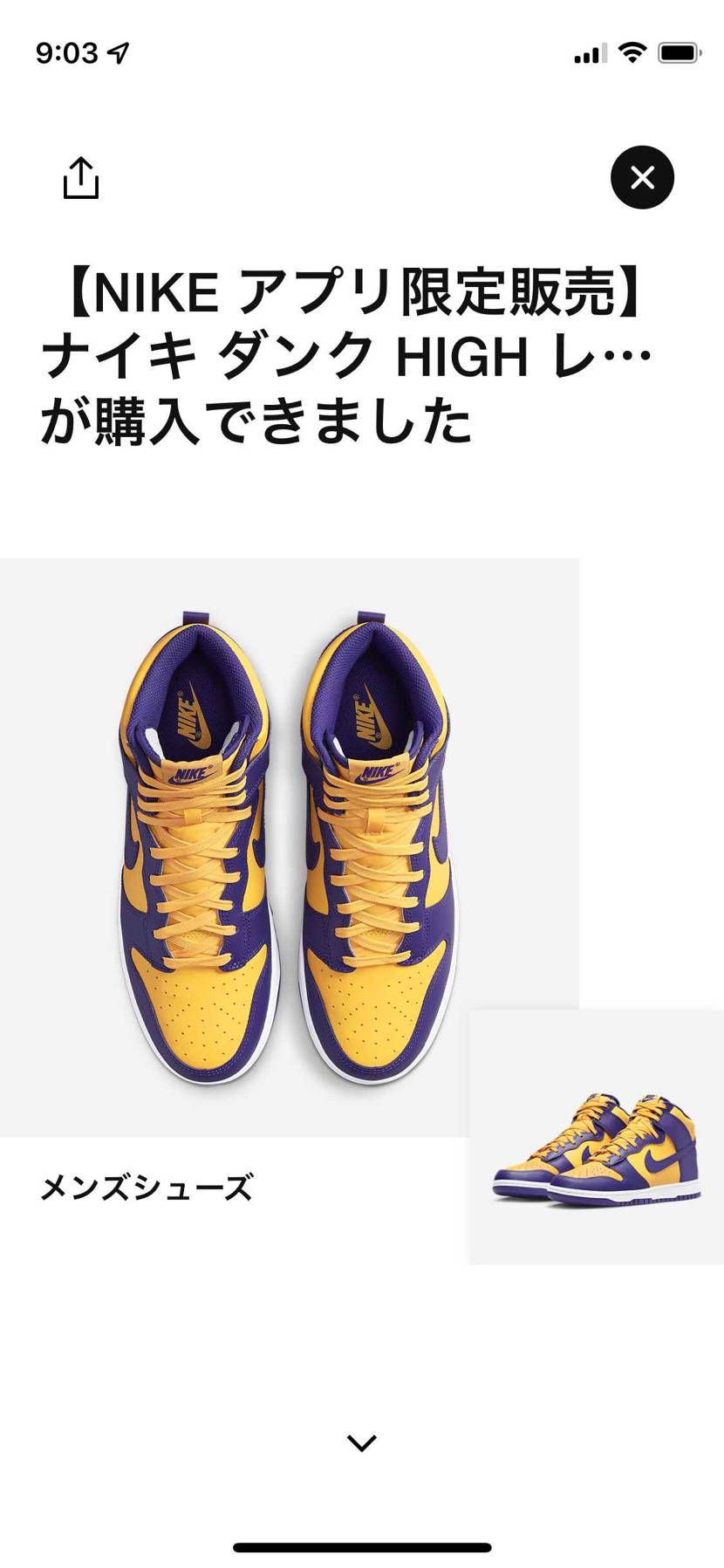 レーカーズシリーズは絶対GET！！