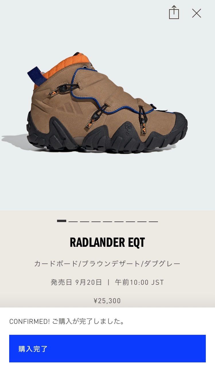 普通に買えるかもしれないけど、無事当たって良かった…
