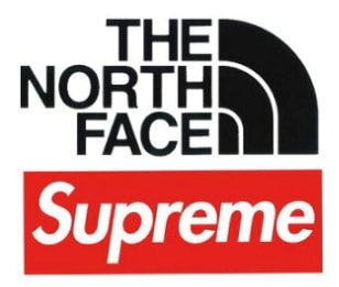 
2025FW
supreme ✖️ the  north face 
果