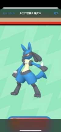 ポケカ初代世代(出品者)