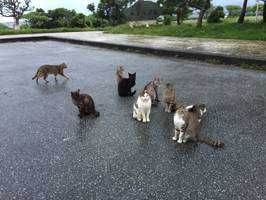 ユーザーアイコン