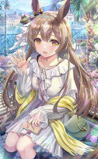 Mappy(出品者)