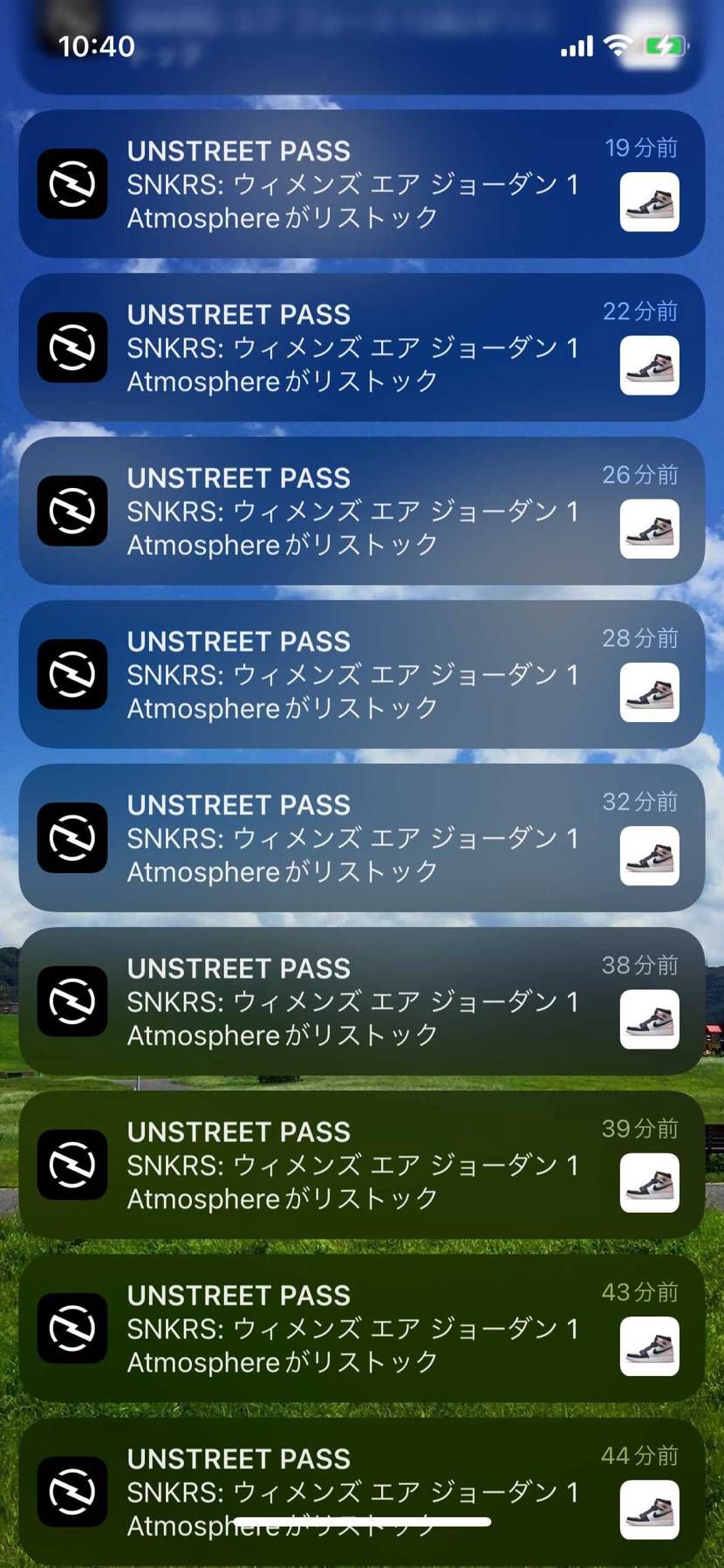 🐿はもうええて❗️