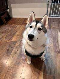 ユーザーアイコン