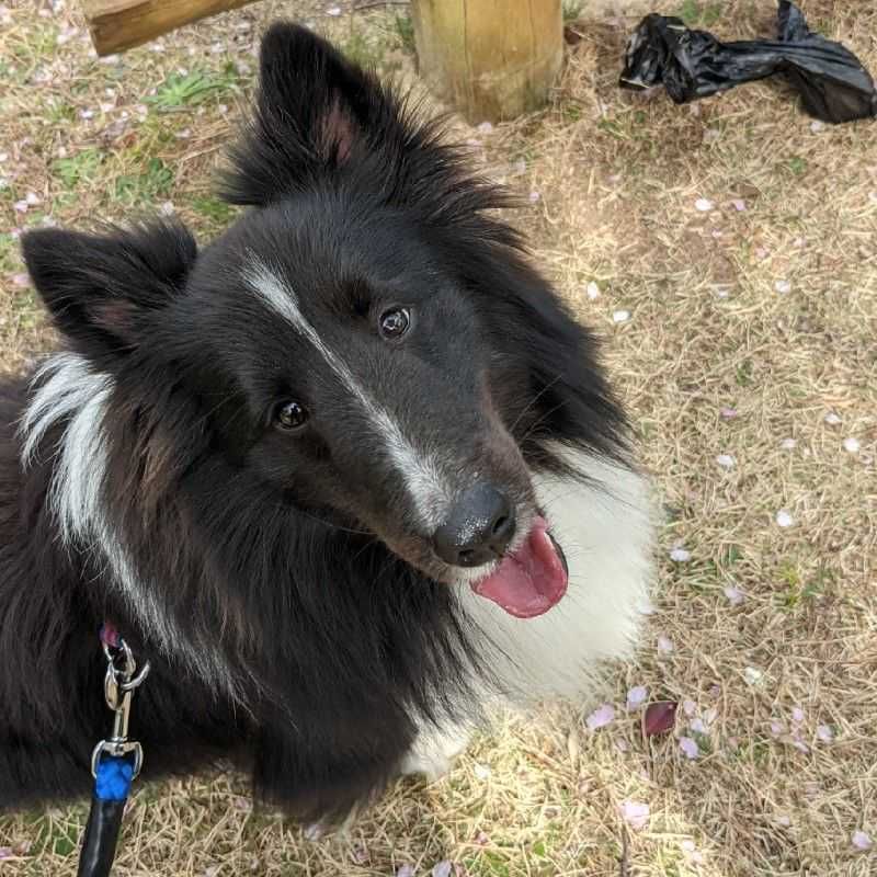 ユーザーアイコン