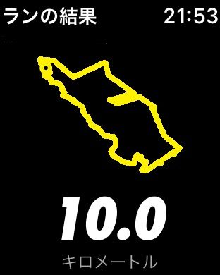 走ったよ！NIKEさん🏃‍♀️💨