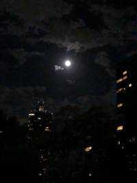 夜空