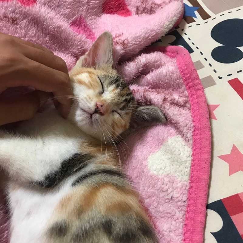 ゆ う