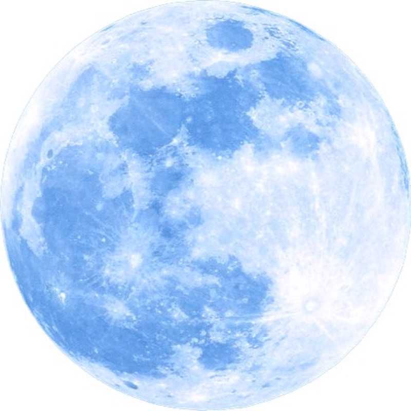 Saeko Bluemoon(出品者)