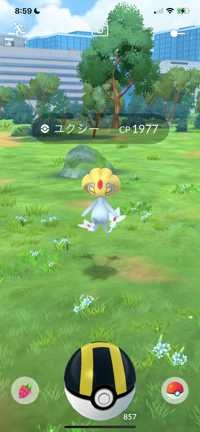 スカイハイ