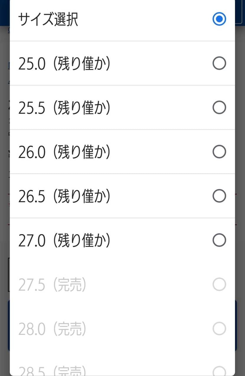 ズームフリーク1まだ ギャラリー2に在庫ありました。