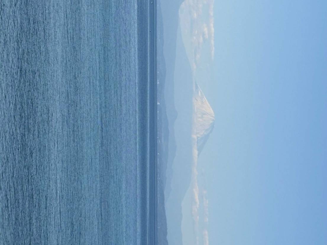 お気に入りのUNCで葉山にある森戸大明神にて参拝⛩️
今年は買わない、今年は控