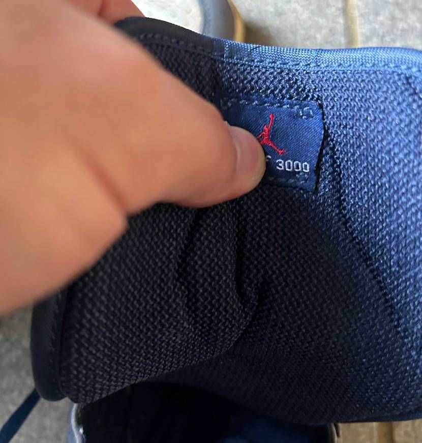 これを手入れしますと言ってからはや丸2年。
全く手付かずの