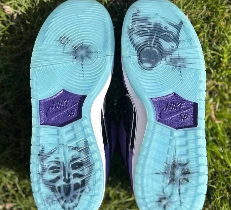 HAYLEY WILSON❌NIKE SB DUNK LOW