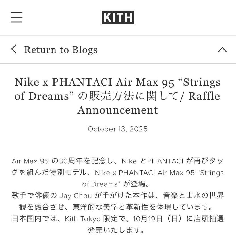 NIKE x PHANTACIエアマックス 95
国内は1