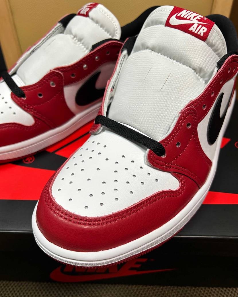 CHICAGO良個体到着！
紐は別メーカーに変更予定。