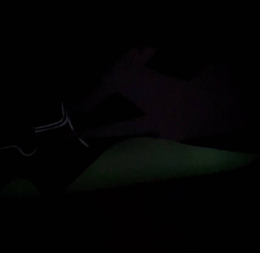 再投稿。
改めまして今月履きたかった一足が手元に到着しまし