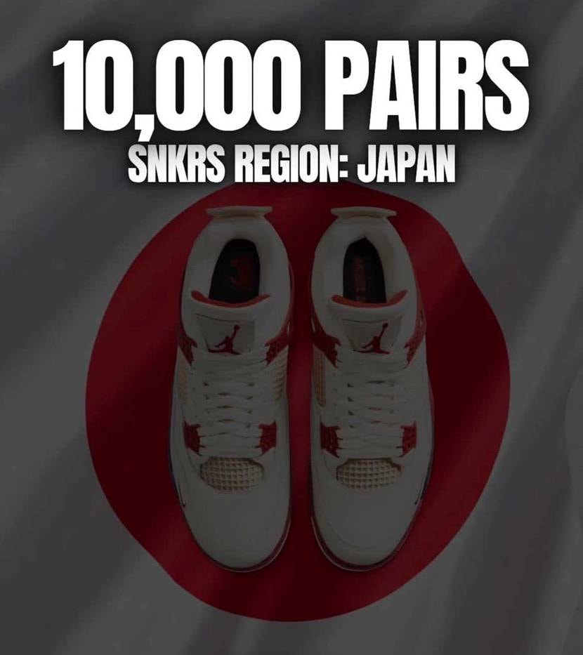 これは🤔