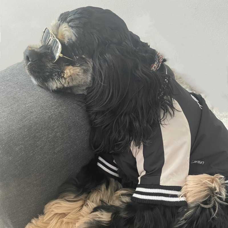 ユタ