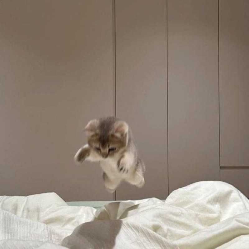さちゃん！