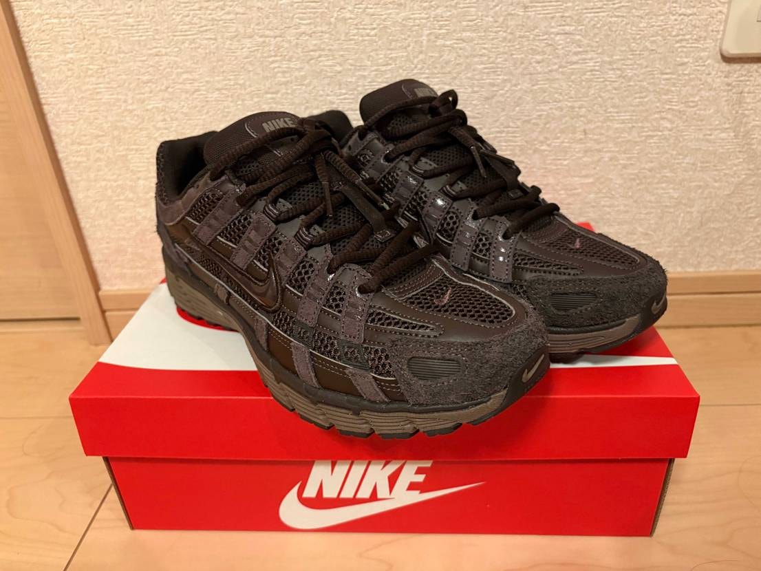 NIKEさんの春セールの戦利品。

P-6000は前々か