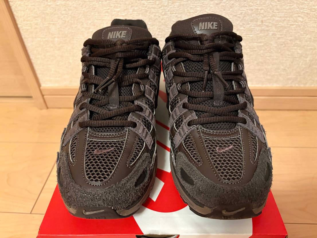 NIKEさんの春セールの戦利品。

P-6000は前々から気になってたけど、