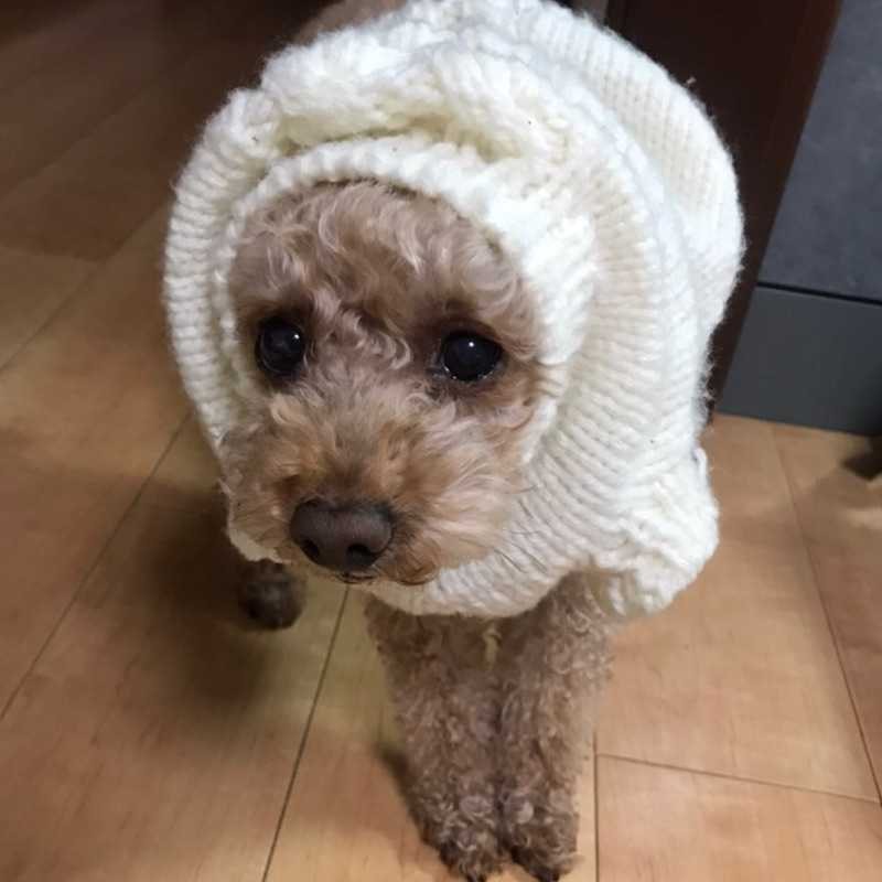 ゆか