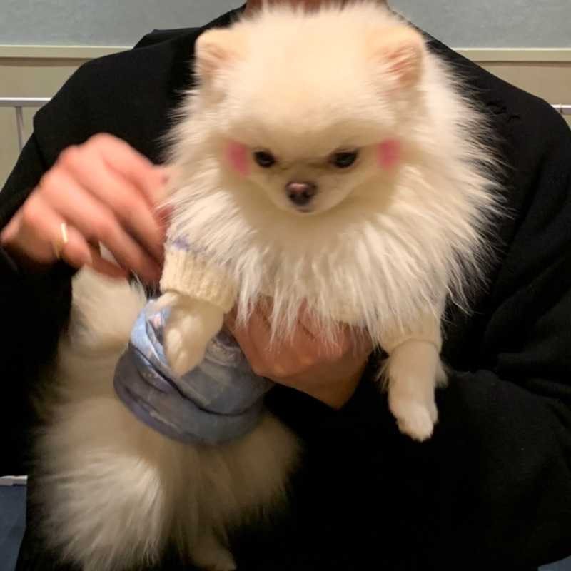 僚太