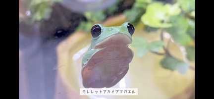 NoName