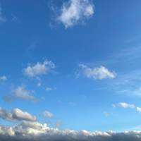 NEXT SKY(出品者)