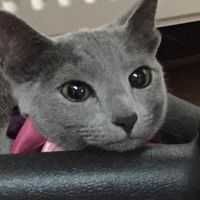 宮﨑耕二