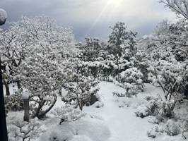 Snow