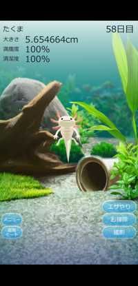 Setuna