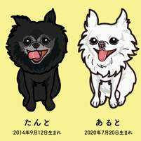 たんととあると