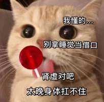 kaku(出品者)
