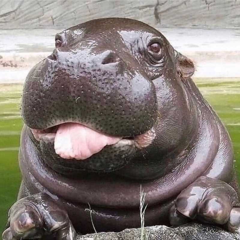 知念崇太