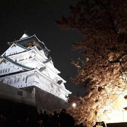 ハチ