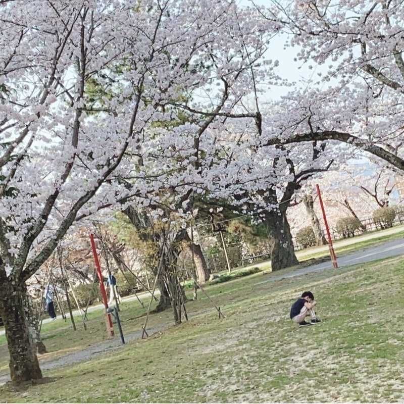 つばさ
