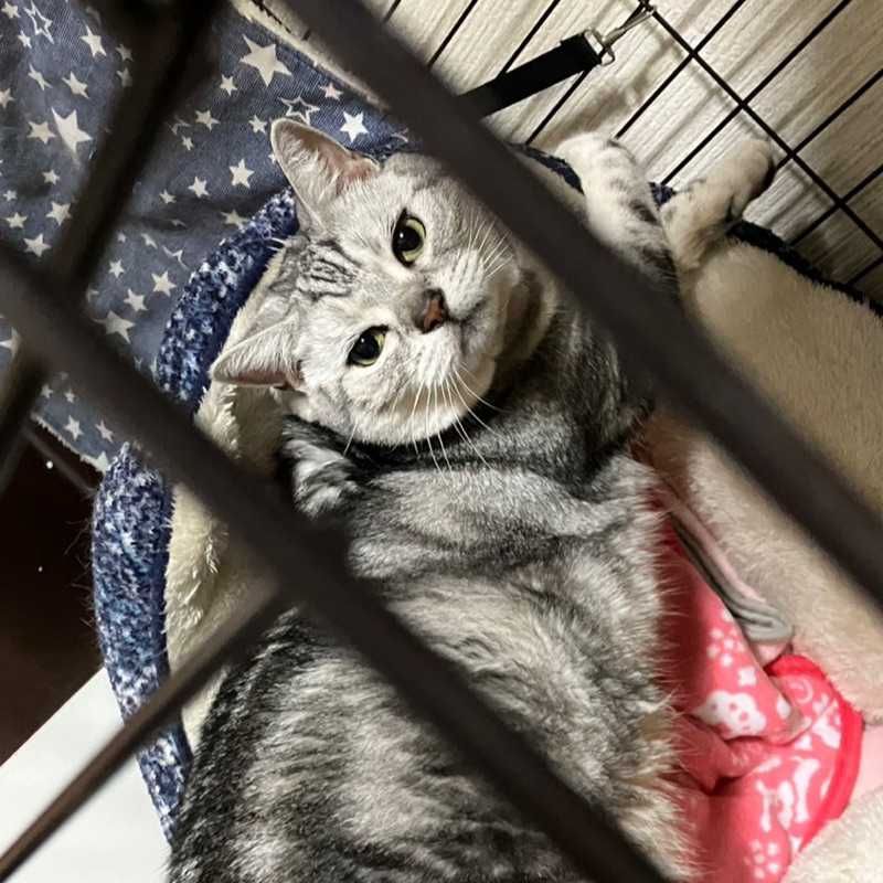 ユーザーアイコン