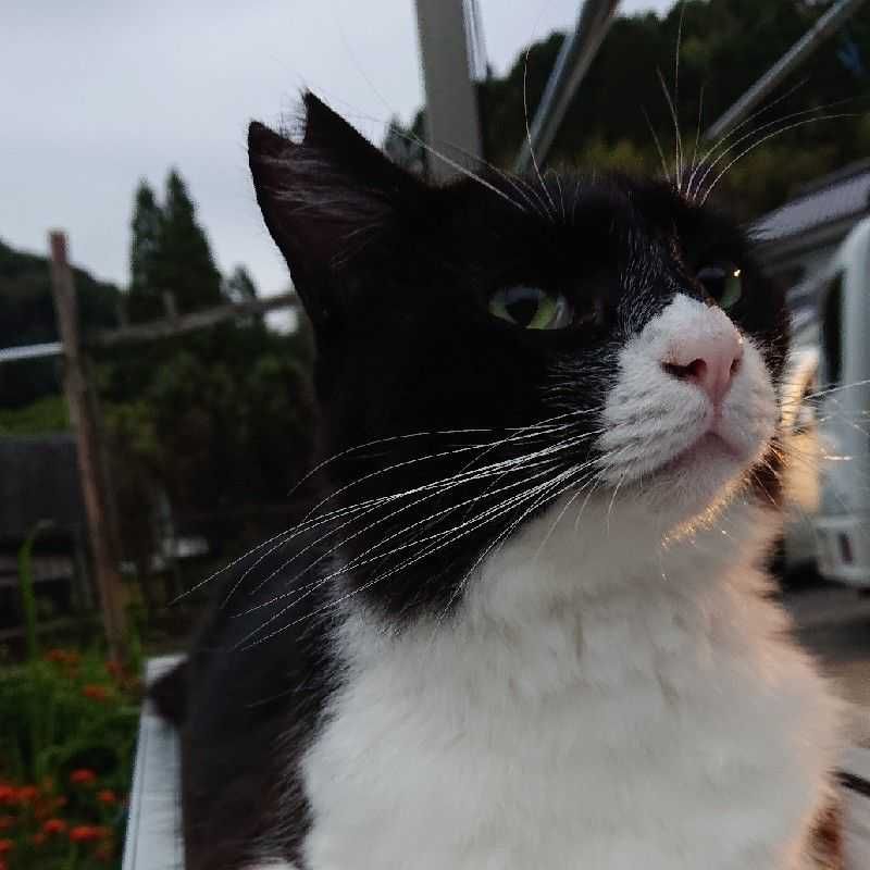 ゆーすけ