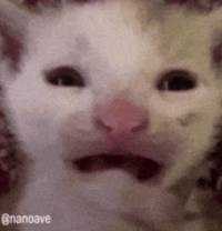 かふぇらて