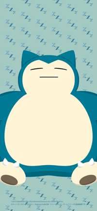 カビゴン太(出品者)