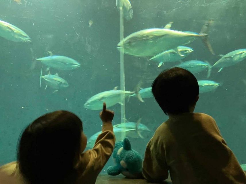 土曜日は次男の誕生日だったので990V3を履いて家族で葛西臨海公園に行ってきまし