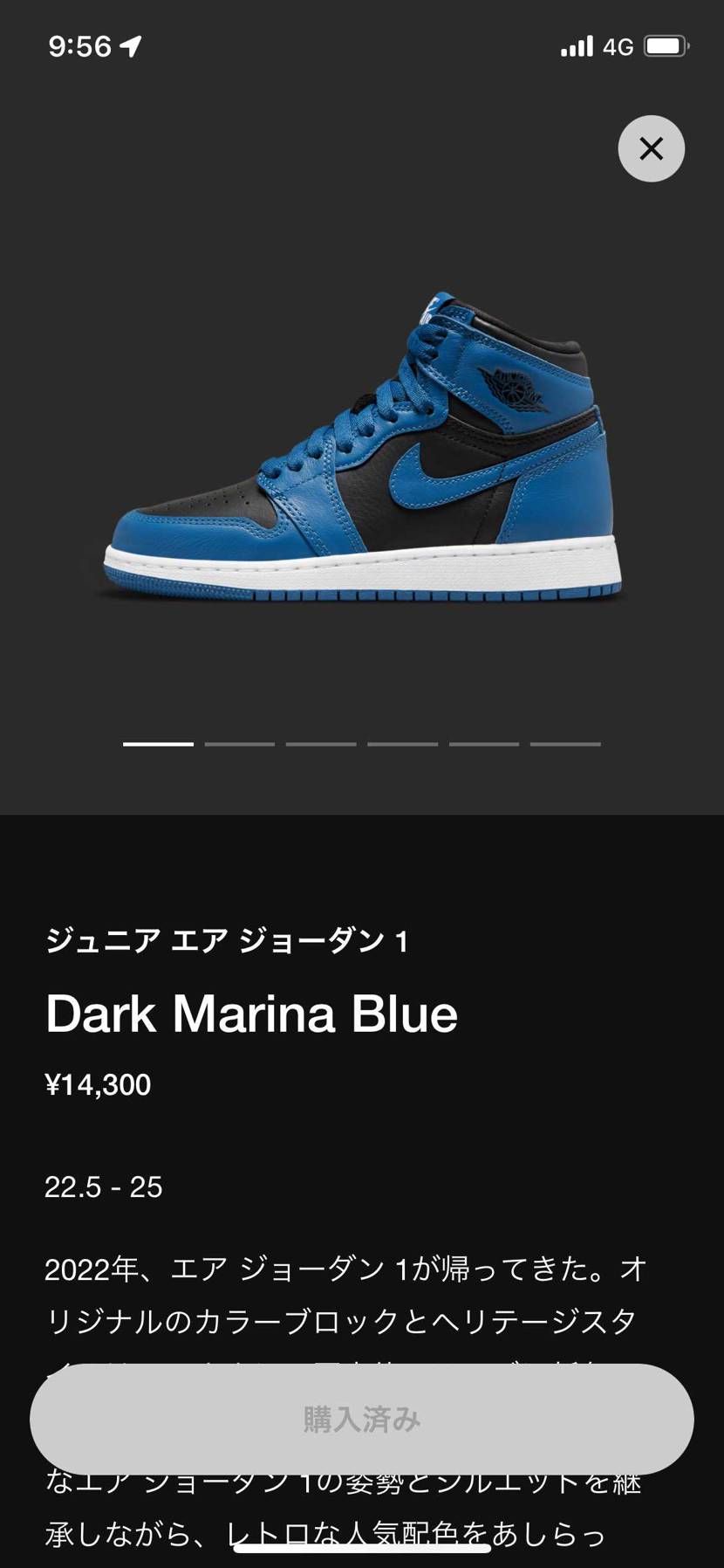 リス拾い🐿