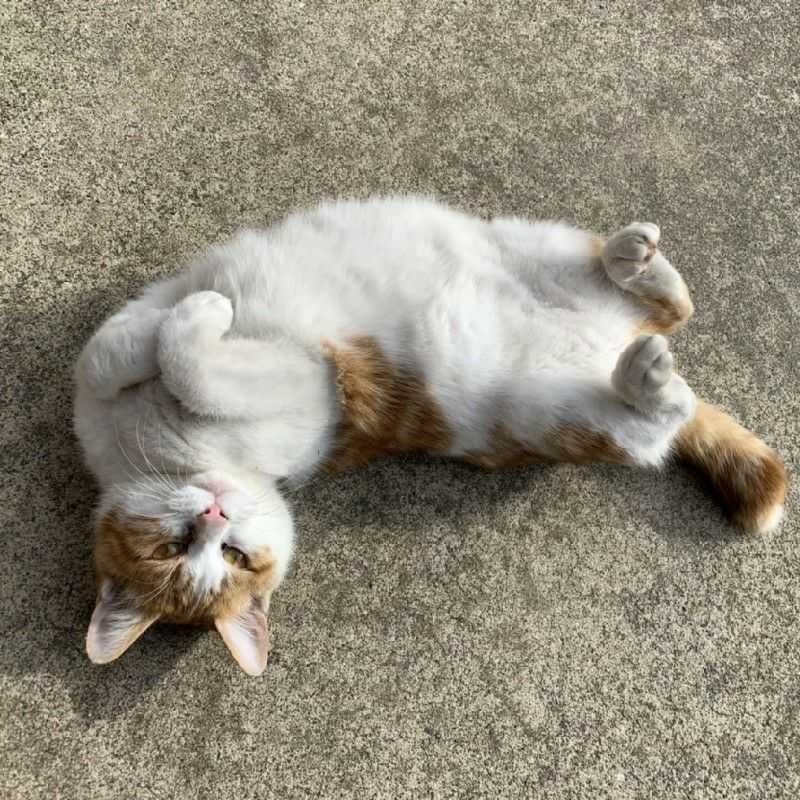 なお