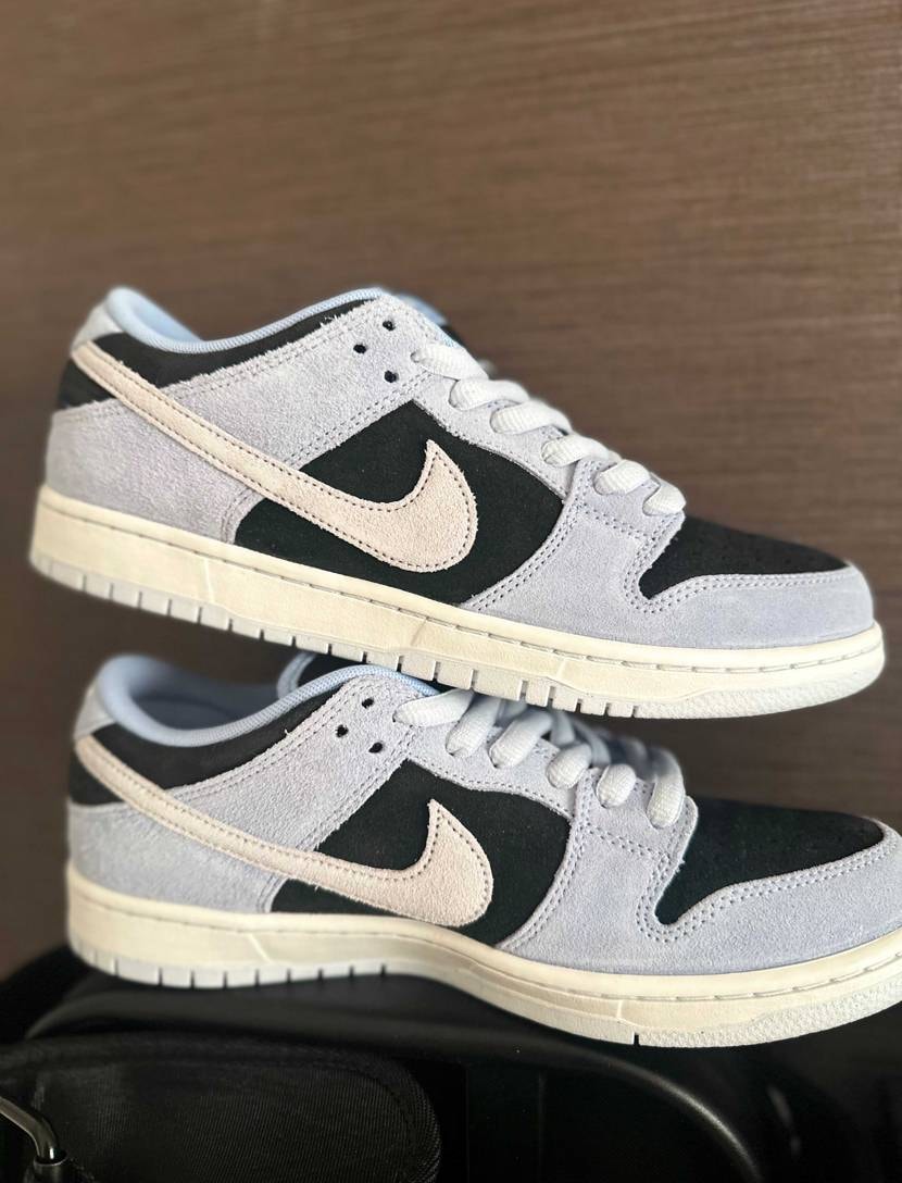 ヨーロッパから到着