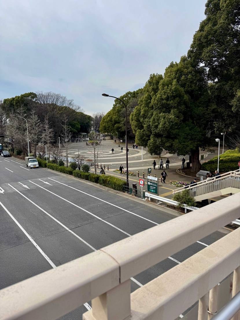 代々木公園、無風…