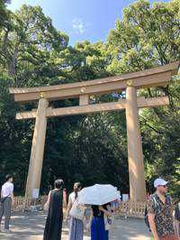 蒼