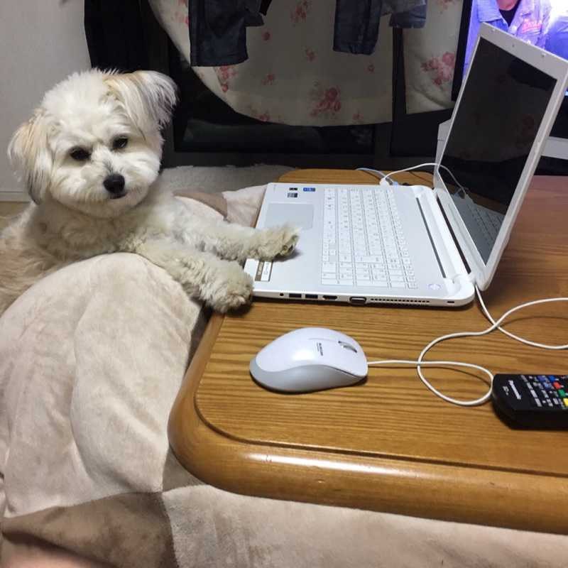 有馬高志(出品者)