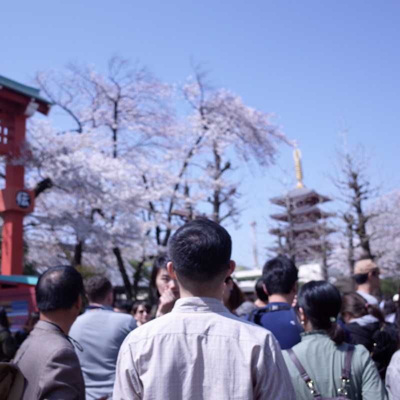 aoneko(出品者)